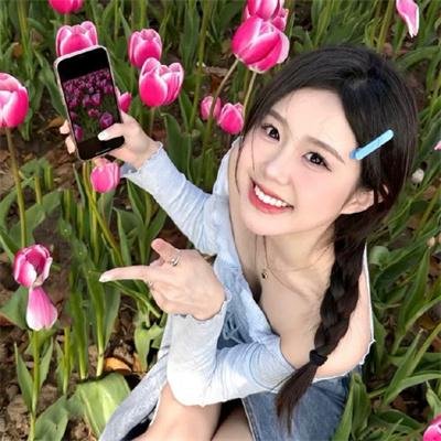 囧途囧行